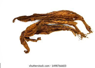 Golden Tobacco Leaves On White Background. Tobacco Whole Leaf Top View Photo. Rustic Raw Material For Cigarettes And Cigars. Smoking Tobacco Leaf. Dry Cured Tobacco Leaf. Cigarette Industry Concept