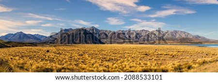 The golden tussock grassland at Lake Heron in the Ashburton lakes district bordered by the Souther alp mountain range