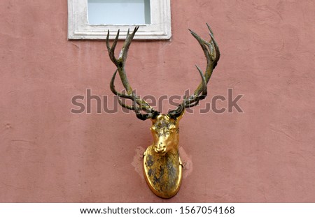 Similar – Image, Stock Photo Wall sculpture deer skull vase with roses