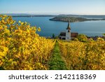 Golden Vineyards at Ligerz, Lake Biel, Jura 3 Lakes region in Bern Switzerland during October, Autumn