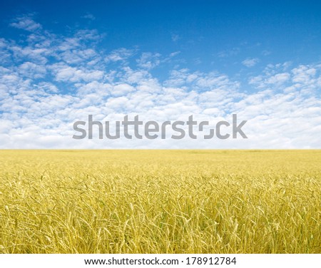 Similar – Image, Stock Photo Flax field in France