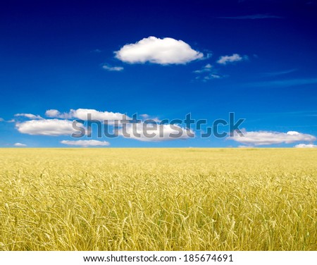 Similar – Image, Stock Photo Flax field in France