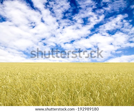 Similar – Image, Stock Photo Flax field in France