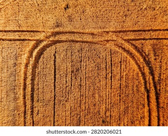 Golden wheat field pattern showcasing tire tracks from agricultural machinery at sunset