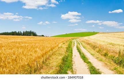 Golden Wheat Field With A Road