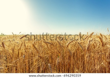 Similar – Image, Stock Photo summer evening Clouds