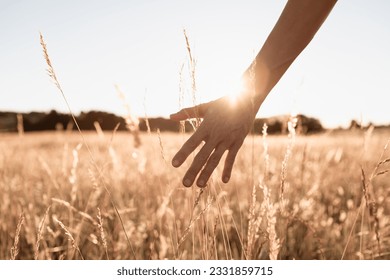 Golden wheat field under morning sky with senior woman's hand touching grass in the countryside. - Powered by Shutterstock