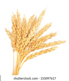 golden wheat isolated on white background - Shutterstock ID 155097617