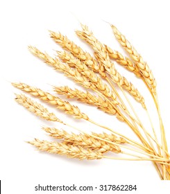 golden wheat isolated on white background - Shutterstock ID 317862284