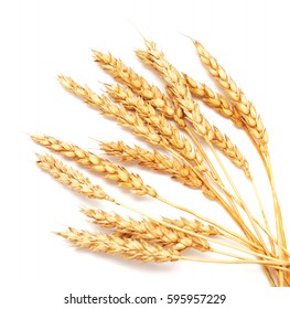 golden wheat isolated on white background - Shutterstock ID 595957229
