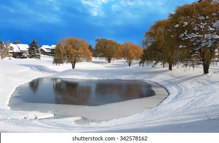 Golden Winter Trees By Pond