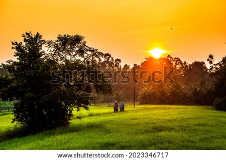 the goldeng sun and farmer work