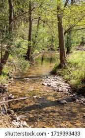 Goldersbach In The Schönbuch Nature Park