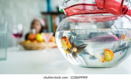 Aquarium Meeting Room High Res Stock Images Shutterstock