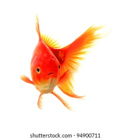 Aquarium Poisson Rouge Stock Photos Images Photography Shutterstock Aquarium Poisson Rouge Stock Photos Images Photography Shutterstock