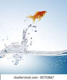 goldfish jumping - Shutterstock ID 85753867