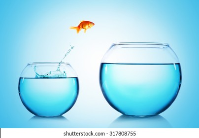 Goldfish jumping from glass aquarium,on blue background