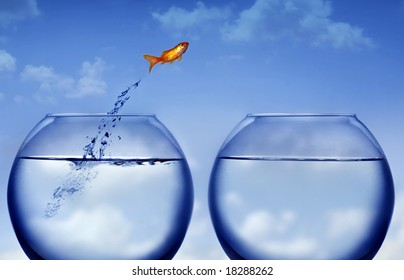 goldfish jumping out of the water - Shutterstock ID 18288262