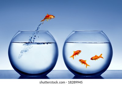 Goldfish Jumping Out Of The Water