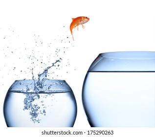 goldfish jumping out of the water - improvement concept