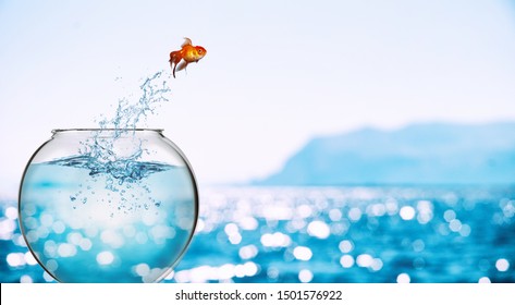 Goldfische springen aus dem Aquarium und werfen sich ins Meer
