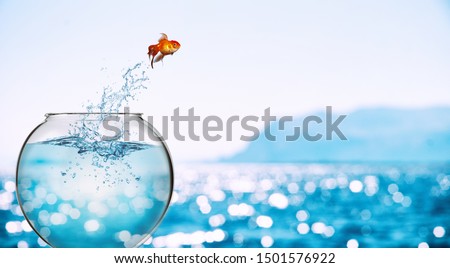 Goldfish leaps out of the aquarium to throw itself into the sea