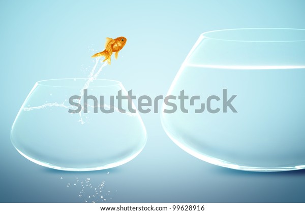 goldfish in small fishbowl watching goldfish
jump into large
fishbowl