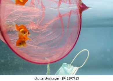 goldfishes near net and medical mask in water, ecology concept