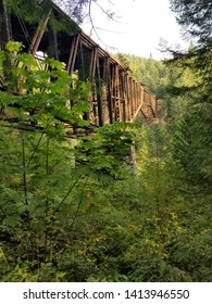 Goldstream Provincial Park Rainforest, Victoria BC