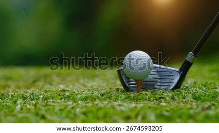 golf background in the green