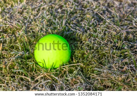 golf ball bright green on frost grass
