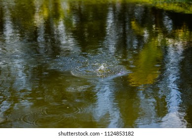 2,473 Golf ball hitting tree Images, Stock Photos & Vectors | Shutterstock