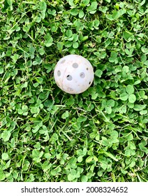 Golf Ball , light Version, for Training  purposes, on lawn