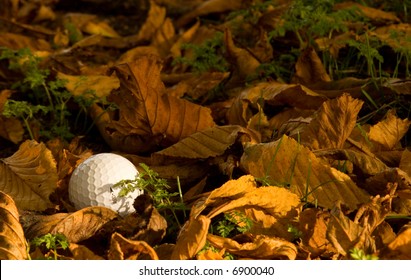 Golf Ball Lost In The Rough