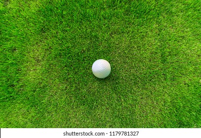 Golf Ball Lying On Green Grass View From Above