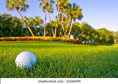 golf ball on fairway of lovely tropical golf course with dewy grass and blue sky