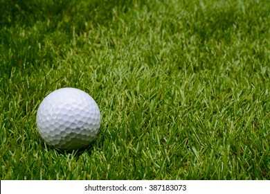 Golf Ball On Grass