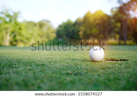 Golf ball on green in beautiful golf course at sunset background. White golf ball on green grass with sunlight background and lens flare effect.                                