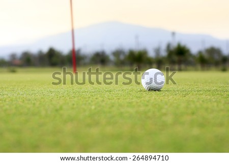 golf ball on green course