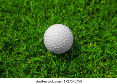 Golf ball on green grass of golf course top view