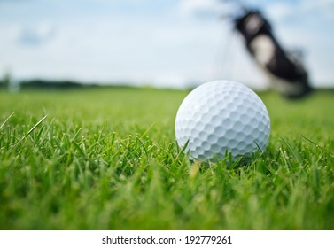 Golf Ball On Green Grass