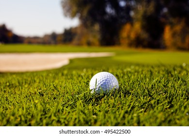 Golf Ball On The Green Grass, Note Shallow Depth Of Field