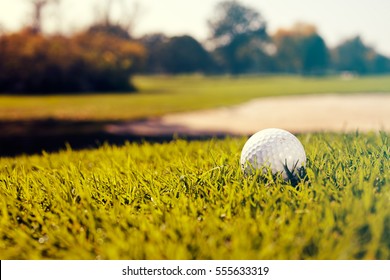 Golf Ball On The Green Grass, Note Shallow Depth Of Field