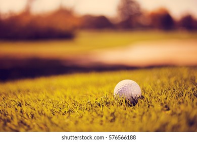 Golf Ball On The Green Grass, Note Shallow Depth Of Field