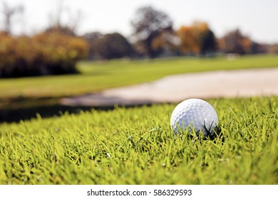 Golf Ball On The Green Grass, Note Shallow Depth Of Field