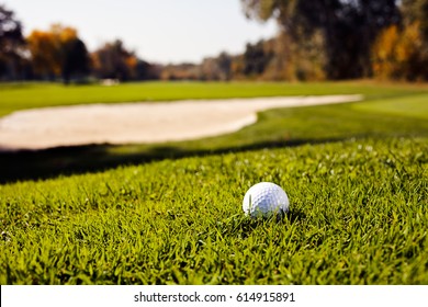 Golf Ball On The Green Grass, Note Shallow Depth Of Field