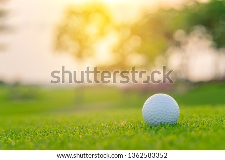 Golf ball on green grass ready to be shot at golf court.