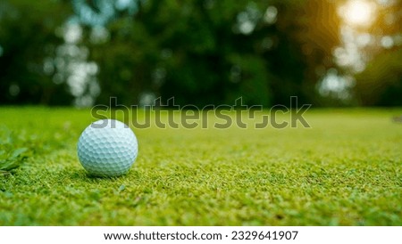 Golf ball on green grass in the evening golf course with sunshine background. Golf ball on the edge of hole on the green grass with warm tone and sunset.                               