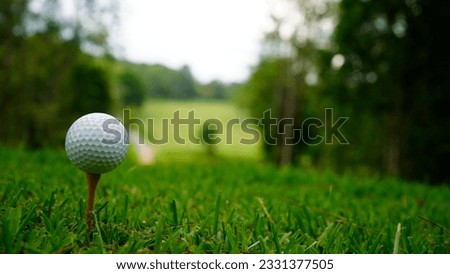 Golf ball on green grass in the evening golf course with sunshine background. Golf ball on the edge of hole on the green grass with warm tone and sunset.                                