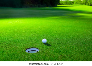 Golf Ball On A Green Lawn